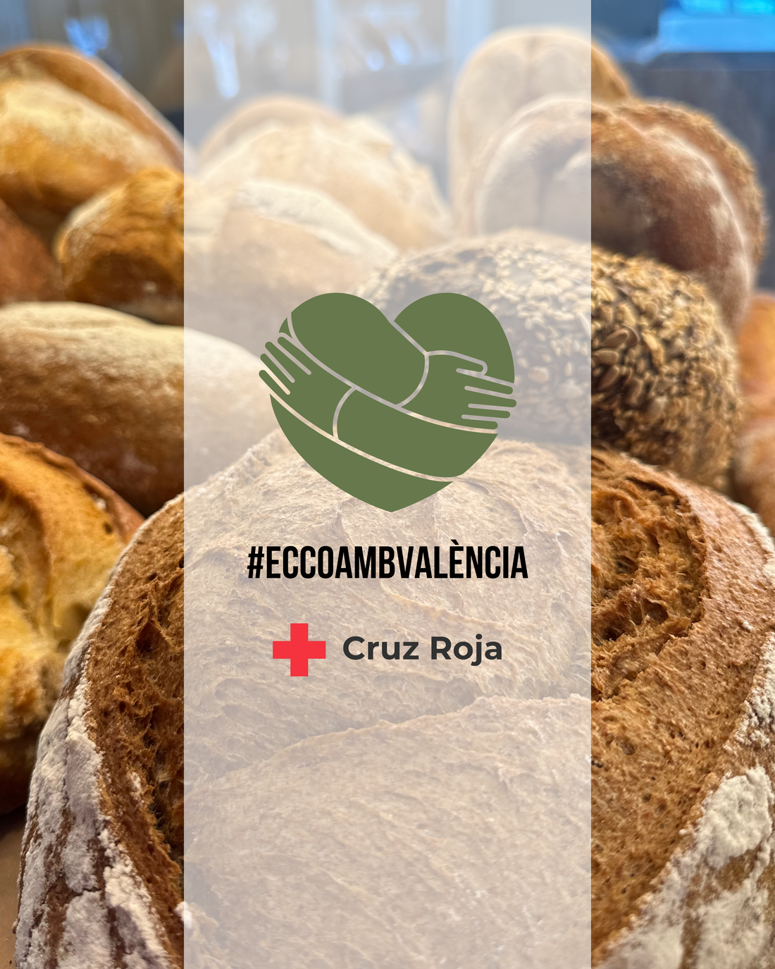 ECCO es posa al costat de València: Una acció solidària amb la Creu Roja